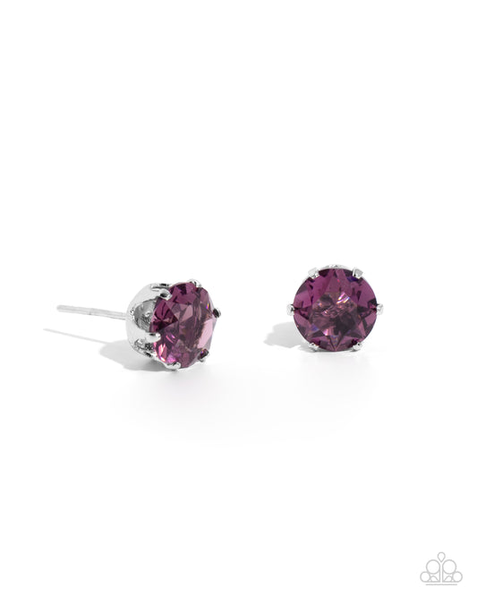 Breathtaking Birthstone - Purple Amethyst Earrings